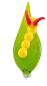 Preview: Orchideenstab, Blatt mit Raupe -gelb- (normale Ausf.)